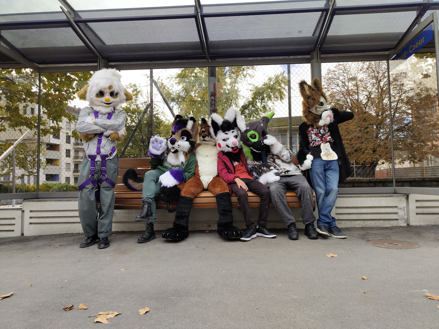Furwalk_3_1
