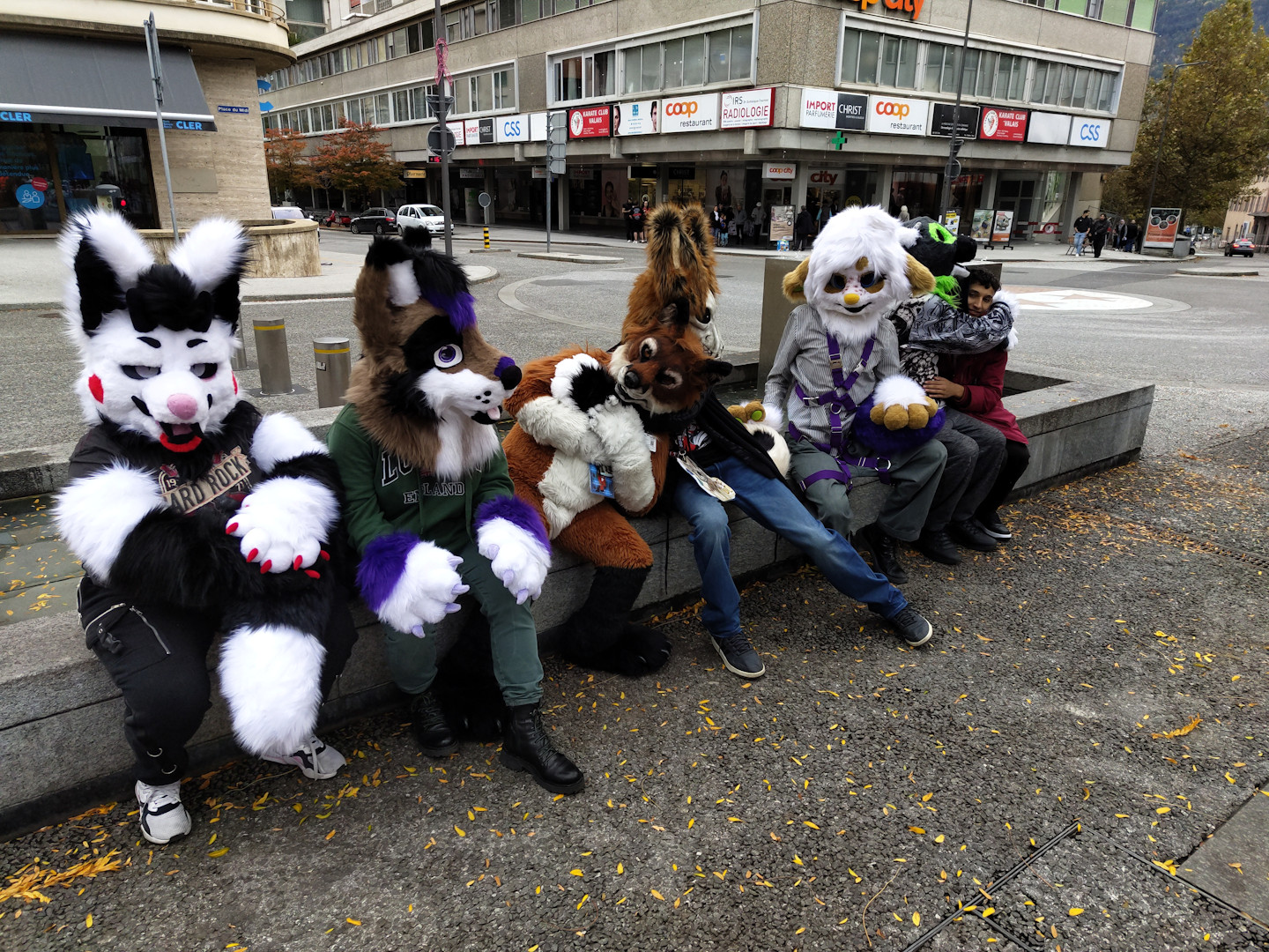 Furwalk_3_3