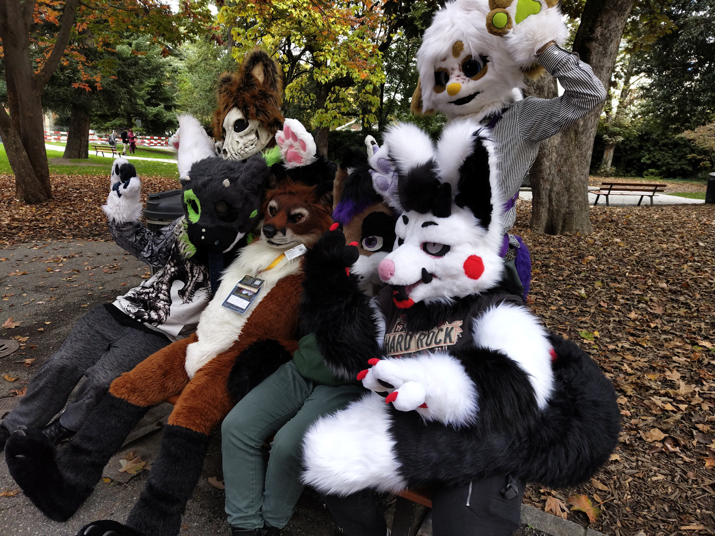 Furwalk_3_5